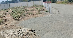 Plot Area in  Plot at Bhestan – for Sale