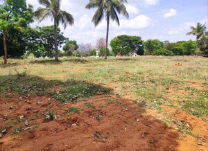 Plot Area in  Plot at Bluevalley Tranquil Arc, Rajanukunte – for Sale