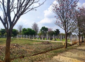 Plot Area in  Plot at Bluevalley Tranquil Arc, Rajanukunte – for Sale