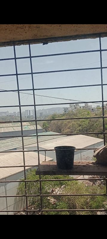 Studio  + Extra Room 480 Sq.Ft. Apartment in Royal Palms Garden View