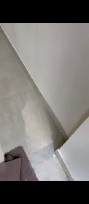 Furnished Amenities in 2 BHK Builder Floor at RPS Palm Drive, Sector 88 – for Sale