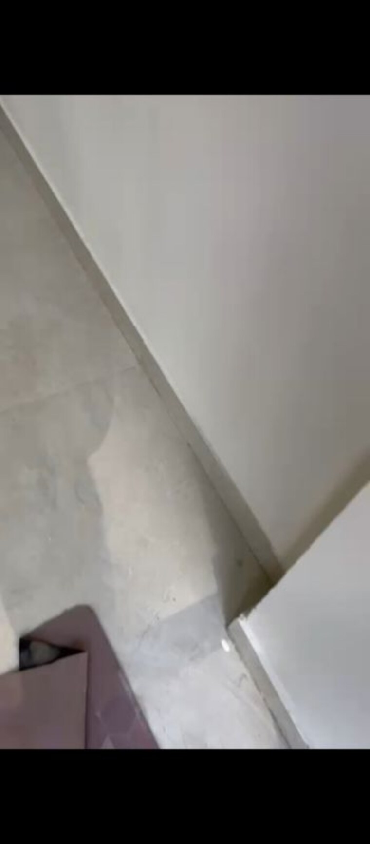 undefined, rps-palm-drive 2 Bedroom 125 Sq.Yd. Builder Floor In Sector 88 Faridabad 10275633