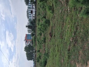  Plot – Garden View at Silani Chowk - for Sale