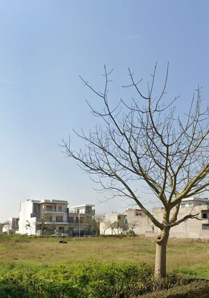  Plot For Sale in Omaxe New Chandigarh, North Mullanpur