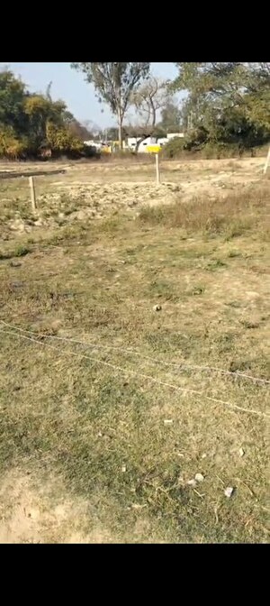  Industrial Plot For Rent in Ojas Enclave, Safedabad