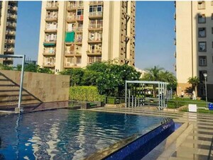 Swimming Pool in 3 BHK Apartment at Tulip Orange, Sector 70 – for Rent