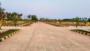  Plot For Sale in Penamaluru