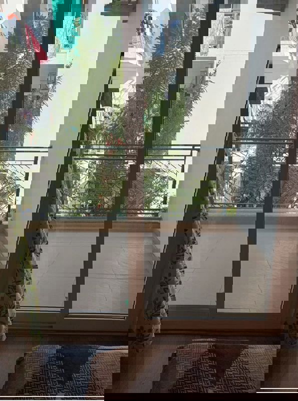 3 BHK + Pooja Room 1800 Sq.Ft. Builder Floor in Ashiana Silver Crest