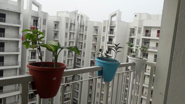 Exterior View, vvip-addresses 3 Bedroom 1850 Sq.Ft. Apartment In Raj Nagar Extension Ghaziabad 10276641