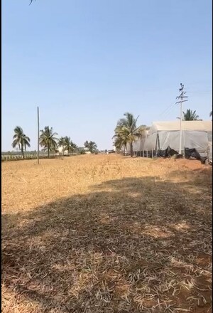  Plot For Sale in Devanahalli