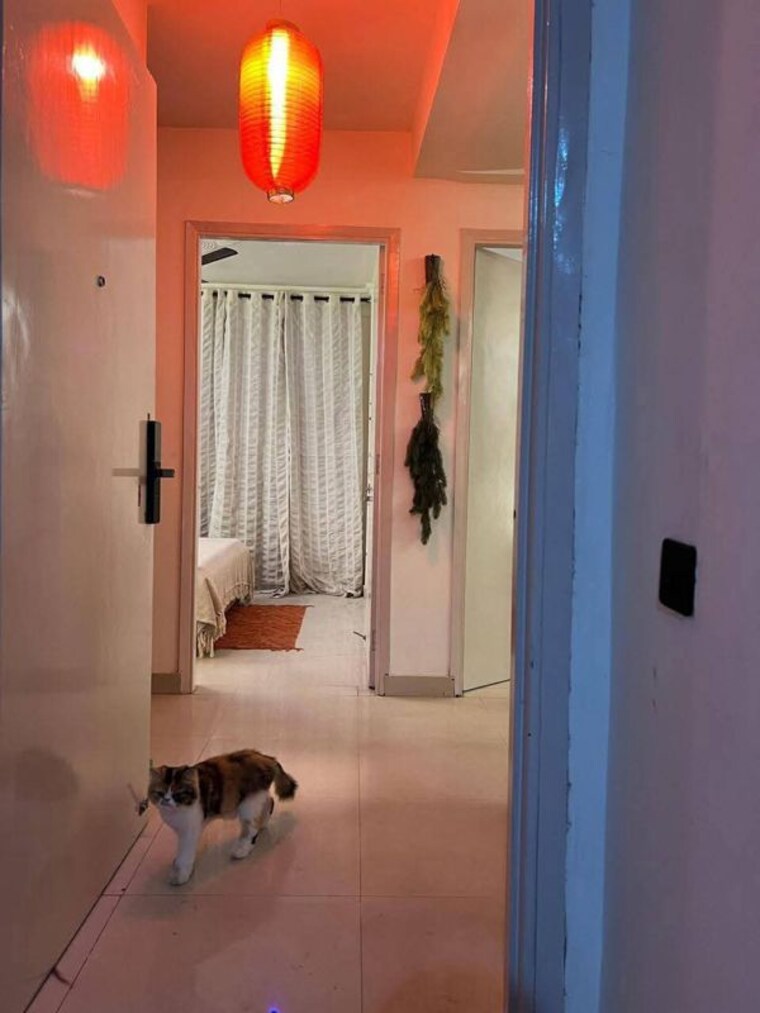 Master Bedroom, saket 2 Bedroom 1000 Sq.Ft. Apartment In Saket Delhi 10276700