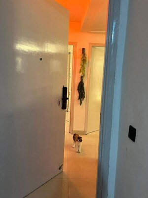 Furnished Amenities in 2 BHK Apartment at Saket – for Rent