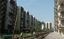 3 BHK Apartment For Rent in Maya Garden City