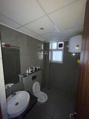 Bathroom in 3 BHK Apartment at Allwin El Spazia, Sanauli – for Rent