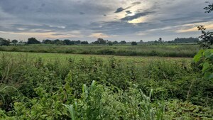  Plot For Sale in Devanahalli