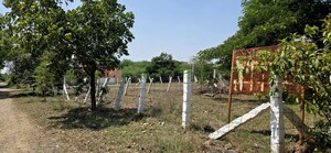  Plot For Sale in Kalapatti