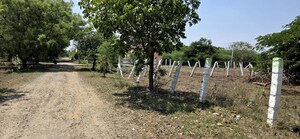 Plot Area in  Plot at Kalapatti – for Sale