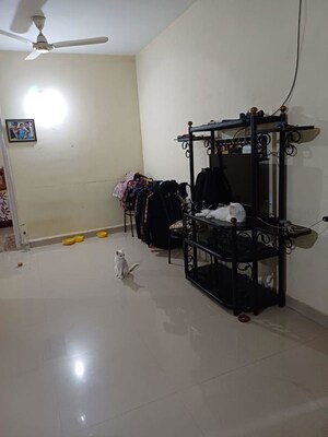 1 BHK Apartment For Rent in Mapusa
