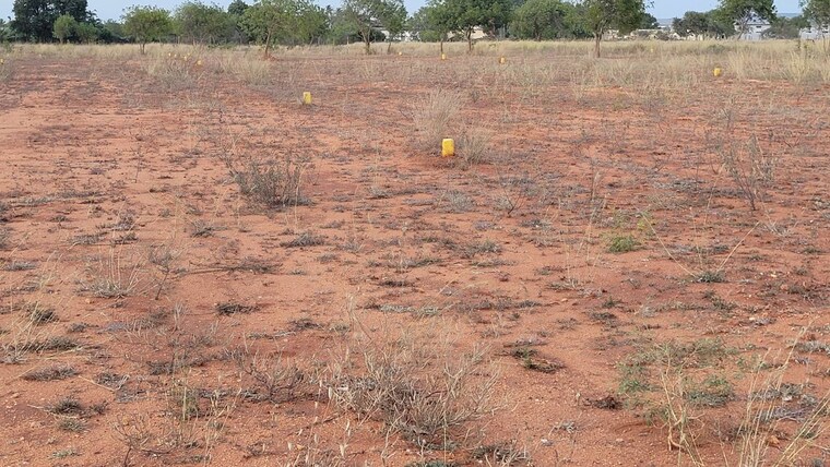 undefined, karanampettai Commercial Land 4 Acre In Karanampettai Coimbatore 10277338