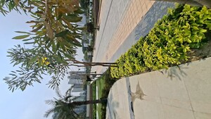   Plot at Sushant Golf City – for Sale
