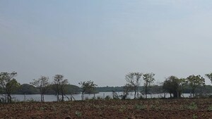 Plot Area in  Land at Neelambur – for Sale