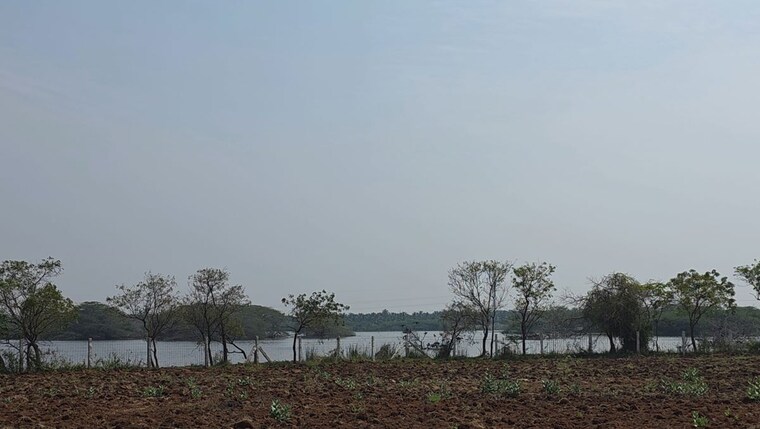 undefined, neelambur Commercial Land 12 Acre In Neelambur Coimbatore 10277383