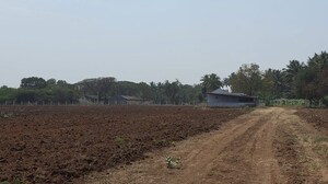 Plot Area in  Land at Neelambur – for Sale