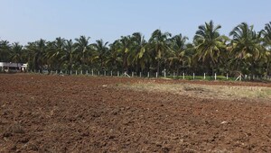 Plot Area in  Land at Neelambur – for Sale