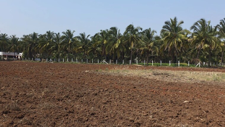 undefined, neelambur Commercial Land 12 Acre In Neelambur Coimbatore 10277383