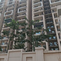 1 BHK Apartment For Sale in Eureka Diya Green City