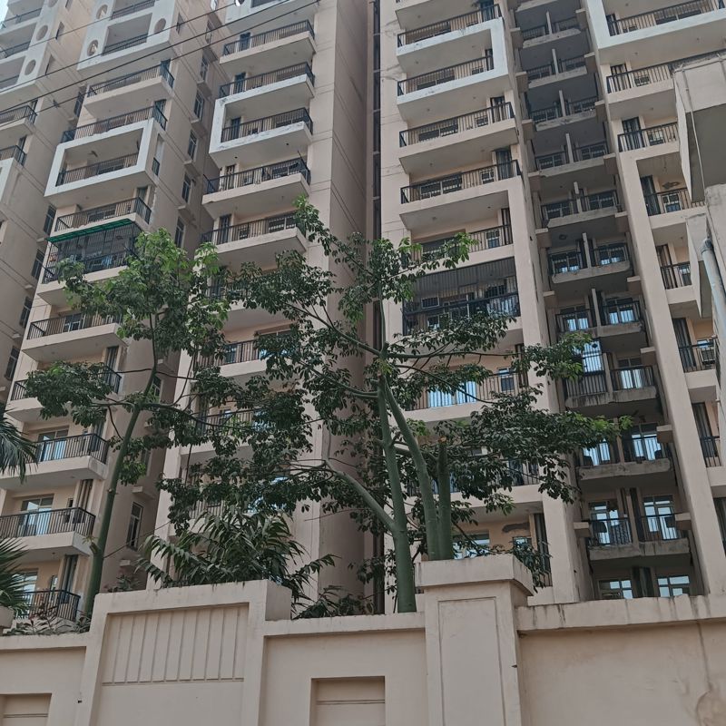1 BHK Apartment For Sale in Eureka Diya Green City