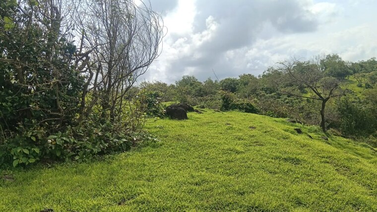 Garden, guhagar  80 Acre Plot In Guhagar Ratnagiri 10277487