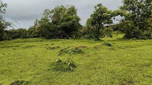  Plot – Garden View at Guhagar - for Sale