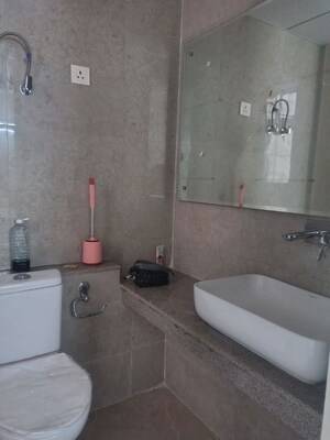 Bathroom in 2 BHK Apartment at Eldeco Live By The Greens, Sector 150 – for Rent