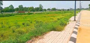 Plot Area in  Plot at JMS Mega City, Sohna Sector 5 – for Sale