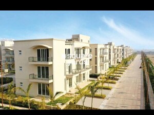 3.5 BHK Builder Floor – Exterior View View at BPTP Amstoria, Sector 102 - for Rent