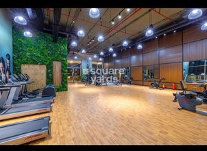 Gym in 3.5 BHK Builder Floor at BPTP Amstoria, Sector 102 – for Rent