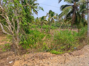  Plot For Sale in Kodibag