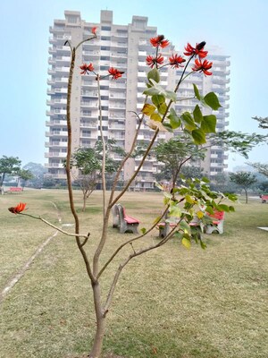 3 BHK Apartment – Exterior View View at Dhakoli - for Sale