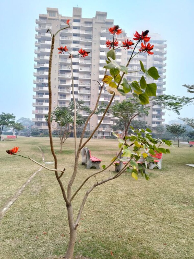 Exterior View, dhakoli 3 Bedroom 1950 Sq.Ft. Apartment In Dhakoli Zirakpur 10278035