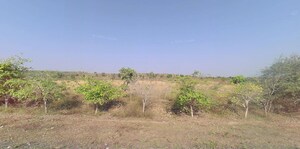  Land For Sale in Kurha