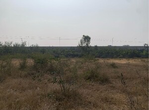 Plot Area in  Land at Fatheshapur – for Sale
