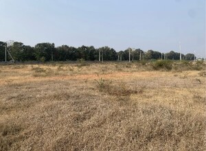  Land For Sale in Fatheshapur