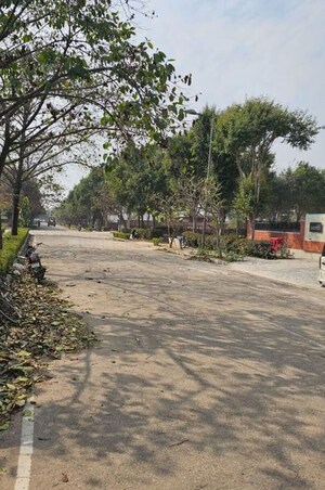  Plot – Exterior View View at Omaxe New Chandigarh, North Mullanpur - for Sale