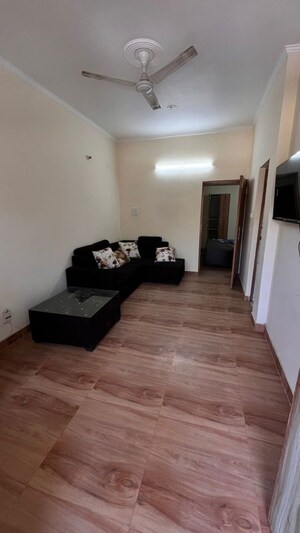 Living Room in 1 BHK Builder Floor at Ameya One, Sector 42 – for Rent