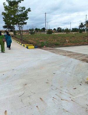 Plot Area in  Plot at Bidadi – for Sale