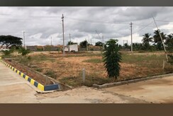 Plot For Sale in Bidadi