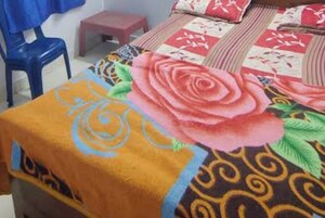  Pg For Rent in Gomti Nagar