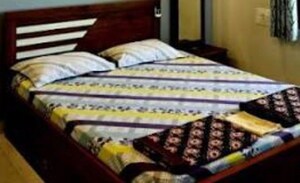  Pg For Rent in Gomti Nagar