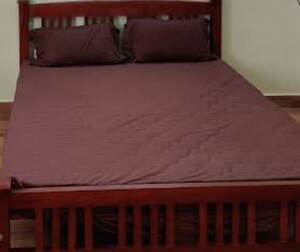  Pg For Rent in Gomti Nagar